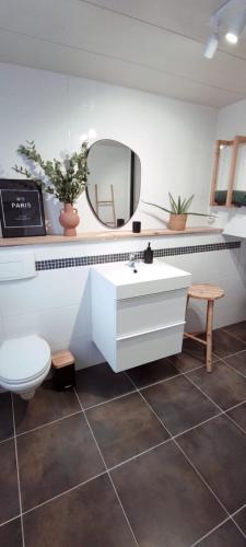 une salle de bain avec un lavabo, des toilettes et un miroir dans l'établissement Appartement de charme au cœur de ville, à Magny-en-Vexin
