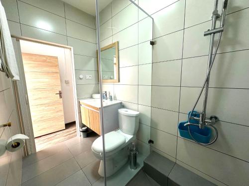 a bathroom with a toilet and a sink at Residence Le Point Choisy in Pointe aux Cannoniers
