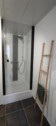 La salle de bains est pourvue d'une douche avec une échelle. dans l'établissement Appartement de charme au cœur de ville, à Magny-en-Vexin