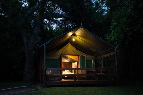 a tent in the dark with a tree at night at Falaza Game Park and Spa in Hluhluwe