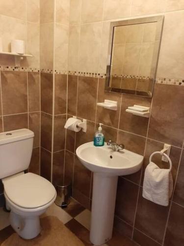 ein Badezimmer mit Toilette und Waschbecken in der Unterkunft Riverview House - Cahersiveen in Cahersiveen