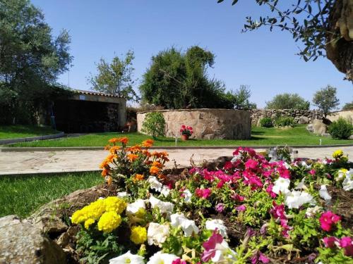 a garden with colorful flowers in a yard at El Lagar del Abuelo en los Arribes del Duero, Badilla, Zamora in Zamora