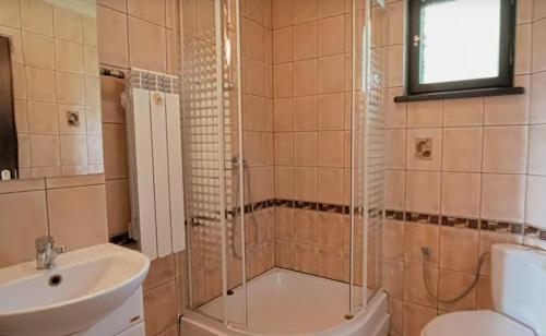 a bathroom with a shower and a sink and a toilet at Kolędówka Rest in Zawoja