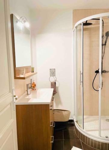 une salle de bain avec un lavabo et une douche dans l'établissement Charmant studio dans Château du XXème, à Exincourt