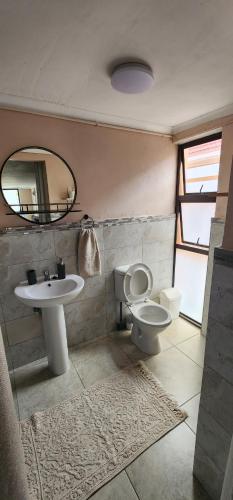 a bathroom with a sink and a toilet and a mirror at Cozy Batchelor Labiance in Cape Town