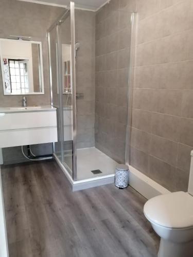 une salle de bain avec une douche, des toilettes et un lavabo dans l'établissement maison entre terre et mer, à Bonnebosq