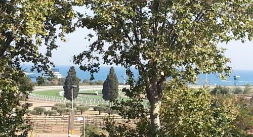 Vue mer-hippodrome à 2 pas de la mer et de la gare