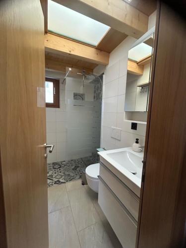 a bathroom with a toilet and a sink at Majagatt Holiday Home in Roveredo