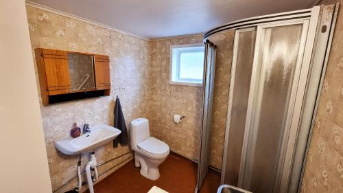 a bathroom with a toilet and a sink and a shower at Large house, Baggetorp, close to swimming and fishing in Nykoping in Nyköping