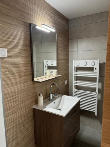 a bathroom with a sink and a mirror at L'Écrin de Marie-Lou Studio Cosy in Chaponost