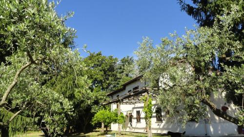 Piccola Volpe – Photos 3