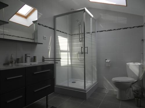 une salle de bain avec une douche, des toilettes et un lavabo dans l'établissement HERMITAGE DURAS, à Anzex