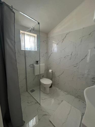 a bathroom with a toilet and a glass shower at Central Apartments Preko in Preko