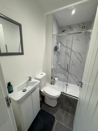 een badkamer met een toilet, een wastafel en een douche bij Glenariff Forest Evergreen Lodge in Glenariff