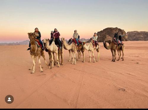 a group of people riding camels in the desert at Rum Magic Desert in Wadi Rum