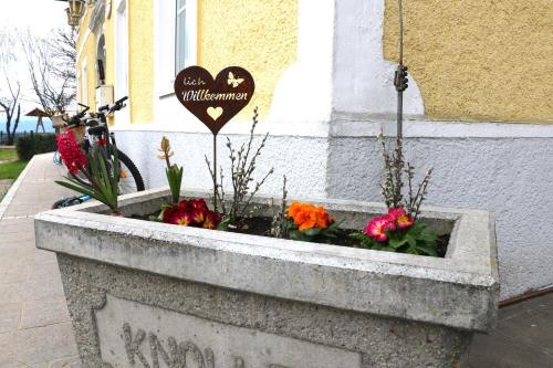 a stone planter with flowers in front of a building at Ferienwohnung am Bio-Bauernhof in Obertrum am See