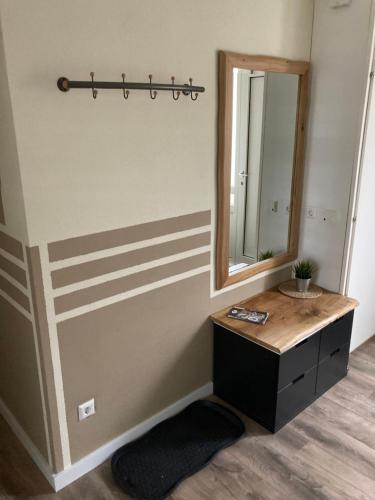 a bathroom with a vanity and a mirror on the wall at Amelander Paradijs Ferienwohnung in Buren