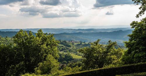 a view of a valley with trees and mountains at Rifugium in Greve in Chianti