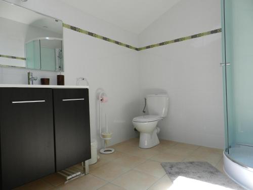 une salle de bain avec toilettes et douche en verre dans l'établissement HERMITAGE MARMANDAIS, à Anzex