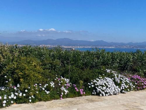 Stunning Sea View Cote d'Azur Villa - Rives d'Or