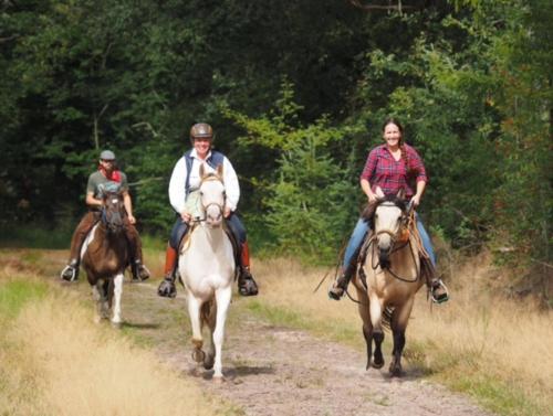 B&B Johannahoeve Veluwe في هال: ثلاثة أشخاص يركبون الخيول في طريق ترابي