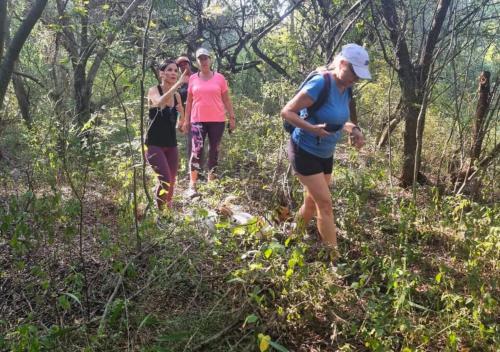 three women walking on a trail in the woods at Imbabali Retreat & Venue in Magaliesburg