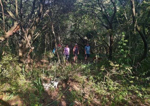 a group of people walking through a forest at Imbabali Retreat & Venue in Magaliesburg