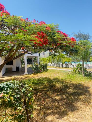 a tree with red flowers in front of a house at 3 bedroom white house malindi in Malindi