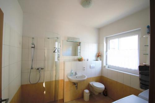 ein Bad mit einem Waschbecken, einem WC und einer Dusche in der Unterkunft Elbidyll in Magdeburg
