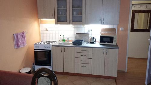 a kitchen with a sink and a stove top oven at HannaH - Relax dom pod orechom Apartman2 in Trávnica