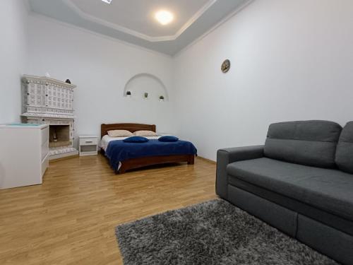 ein Wohnzimmer mit einem Sofa und einem Bett in der Unterkunft Apartments Anna in Lwiw