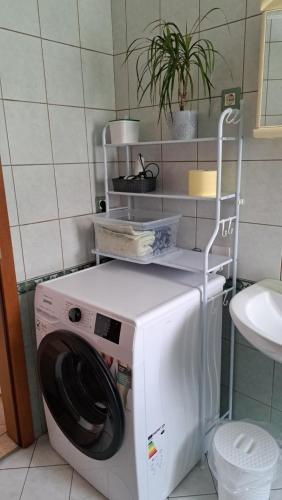 una lavatrice e asciugatrice in una piccola stanza di Apartma Emilio a Breginj