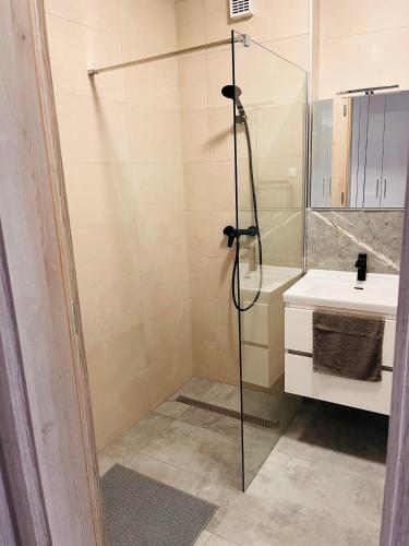 a shower with a glass door next to a sink at Gréta Lux Apartman in Hajdúszoboszló