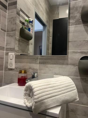 La salle de bains est pourvue d'une serviette blanche sur un lavabo. dans l'établissement Le Laurier-rose, à Montpellier