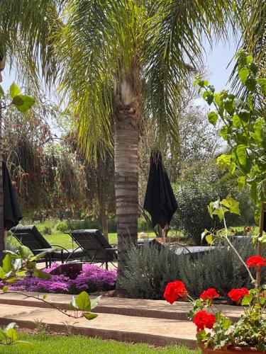 Jardín al aire libre en Maidan El Arsa