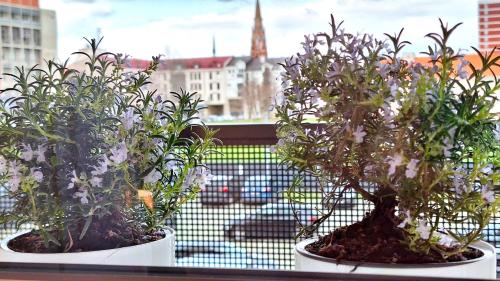 three potted plants sitting on a window sill at Apartman Lucille in Osijek