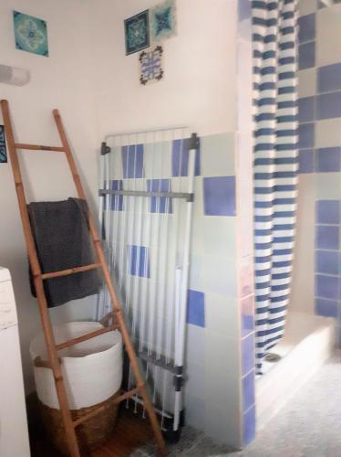 une salle de bain avec douche et échelle et toilettes dans l'établissement Gîte des Flots de Ma Vie - Florence et Virginie Gossin - Barzan, à Barzan