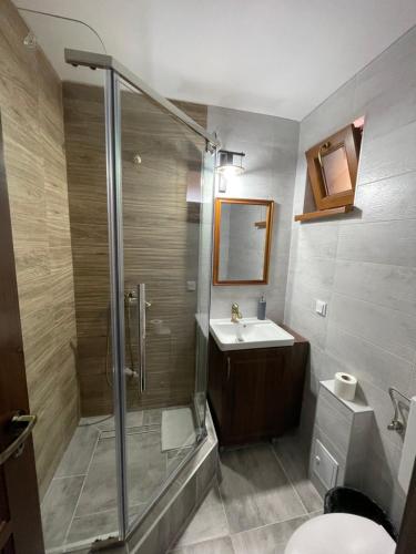 ein Bad mit einer Dusche und einem Waschbecken in der Unterkunft Green Mountain Resort in Scrind-Frăsinet