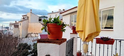 a potted plant sitting on a balcony next to an umbrella at Posada Puente Romano in Sedella