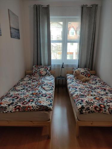 2 aparte bedden in een slaapkamer met een teddybeer op het bed bij centrumplażaGiżycko in Giżycko