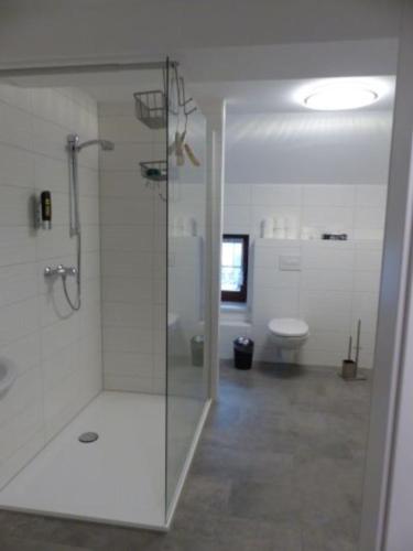 y baño con ducha y aseo. en Große Ferienwohnung in 09548 Seiffen en Kurort Seiffen