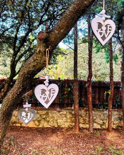 a group of hearts hanging from a tree at De Rafael Cabañas de Madera in Venturada