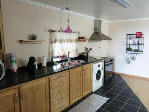 a kitchen with a sink and a washing machine at Apartamento Solar dos Castanheiros in Prainha de Baixo