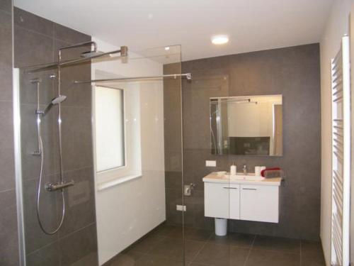 a bathroom with a shower and a sink at Haus Schloßbergblick in Leutschach