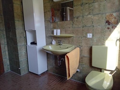 La salle de bains est pourvue d'un lavabo et de toilettes. dans l'établissement Grashüpfer, à Freiensteinau