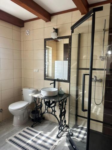 a bathroom with a sink and a shower and a toilet at Zielona Przystań in Manasterz