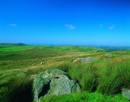 a grassy hill with some animals grazing on it at Penalltcych Farmhouse Abercych in Abercych