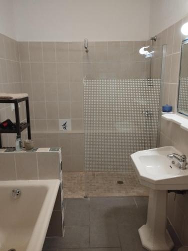 une salle de bain avec douche et lavabo dans l'établissement L Aparté en Corbières, à Ferrals-lès-Corbières