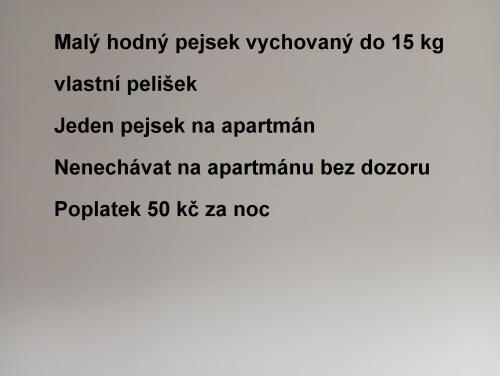 una captura de pantalla de un teléfono móvil con las palabras manualmente hovy pixelsorenosity do en Ubytování Lumik en Jeseník