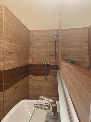 Koupelna v ubytování Apartmán Sirius B